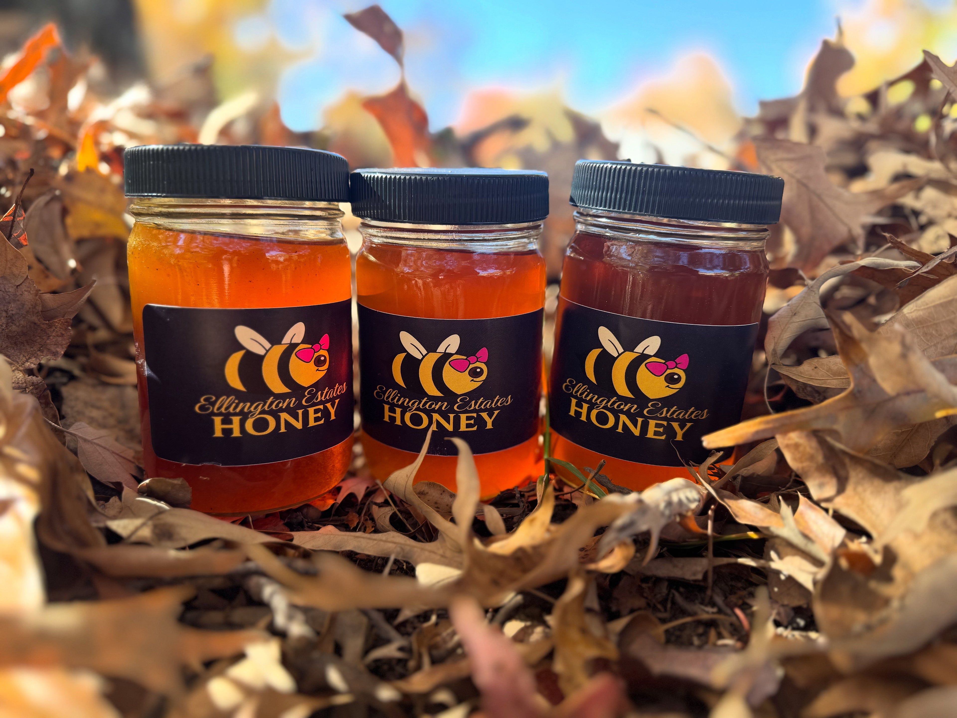 Ellington Estates Raw Honey - 16oz